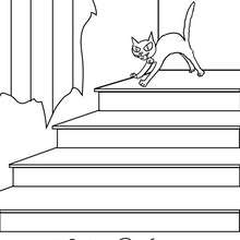 Desenho de um gato preto e branco para colorir.