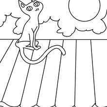 Desenhos de GATOS PRETOS para colorir - Desenhos para colorir - Imprima  desenhos para colorir 