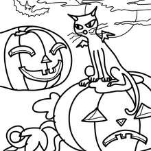 Desenhos de GATOS PRETOS para colorir - Desenhos para colorir - Imprima  desenhos para colorir 