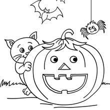 Desenhos de abóboras de Halloween para imprimir no Jogos Online Wx   Halloween para colorir, Desenhos do dia das bruxas, Abóbora halloween  desenho