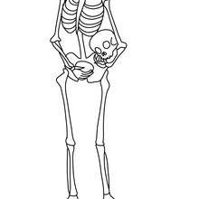 skeleton-carrying-his-head-under-his-arm-01-k2p