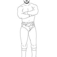 lutador de wrestling, Desenho do grupo de wrestling profissional, Dinastia Hart para colorir