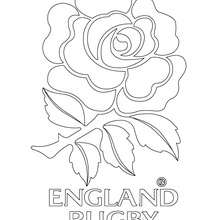 Desenho do time de Rugby da Inglaterra para colorir