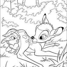 Bambi brincando com o coelhinho