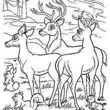 Bambi e seus amigos veados