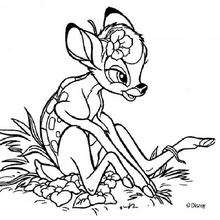 Bambi com uma flor atrás da orelha