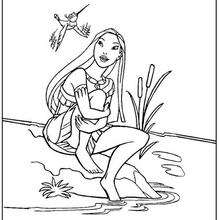 Desenho da Pocahontas com o Beija-flor Flit para colorir