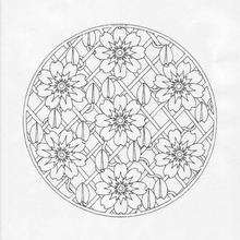 Desenho de Mandala com Padrão Floral para colorir