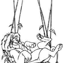 Simba relaxando em uma rede de cipó