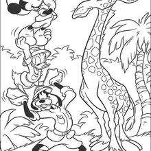 Mickey , Donald, Pateta e a girafa