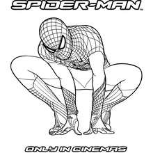 The Amazing Spiderman para colorir