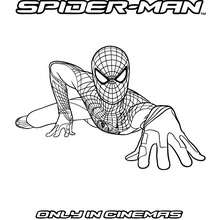 Desenho The Amazing Spiderman para pintar