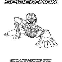 Desenhos para colorir de the amazing spiderman para colorir  