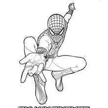 Desenho para colorir e pintar The Amazing Spiderman