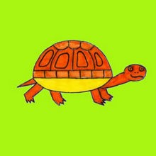 Como desenhar uma tartaruga