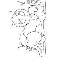 Desenhos para colorir de desenho de um gato com um rato para