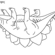 Desenhos de Pterodáctilo para colorir - Bora Colorir