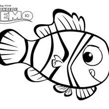 Nemo, o peixe-palhaço