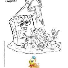 Bob Esponja colorir para a prai