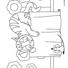Desenho de um gato com um rato para colorir