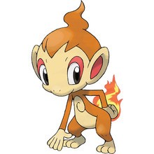 Desenho do Chimchar para colorir