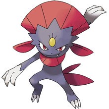 Desenho do Weavile para colorir