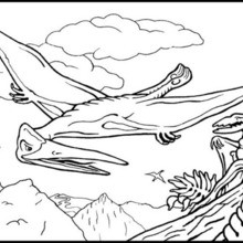 Desenhos de Pterodáctilo para colorir - Bora Colorir