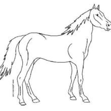 Desenhos para colorir de desenho de um cavalo sorrindo para