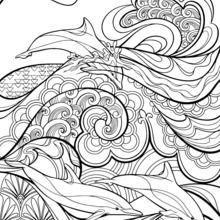 Desenhos para Colorir além do Jardim Secreto  Desenhos para colorir adultos,  Mandala para impressão, Desenhos para colorir