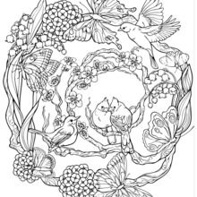 Desenhos para Colorir além do Jardim Secreto  Desenhos para colorir adultos,  Mandala para impressão, Desenhos para colorir