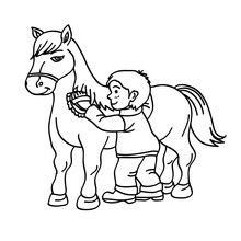 Desenho de Menina e cavalo para Colorir - Colorir.com