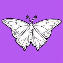 A borboleta