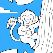 Desenhos Macaco (animais) para colorir – Páginas para Colorir