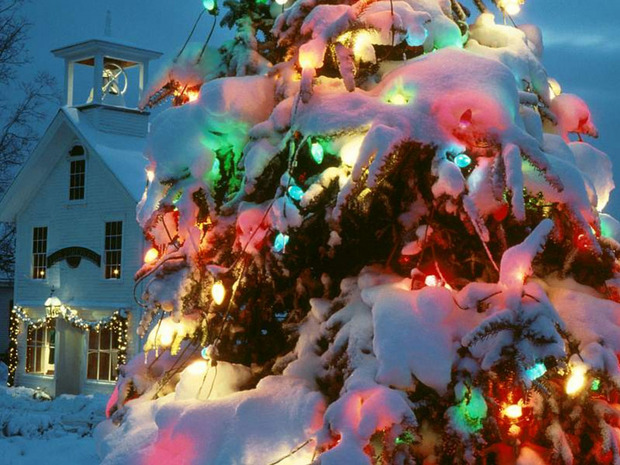 Papél de parede com uma árvore de Natal colorida na neve