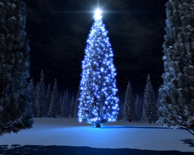 Papél de parede com uma árvore de Natal azul